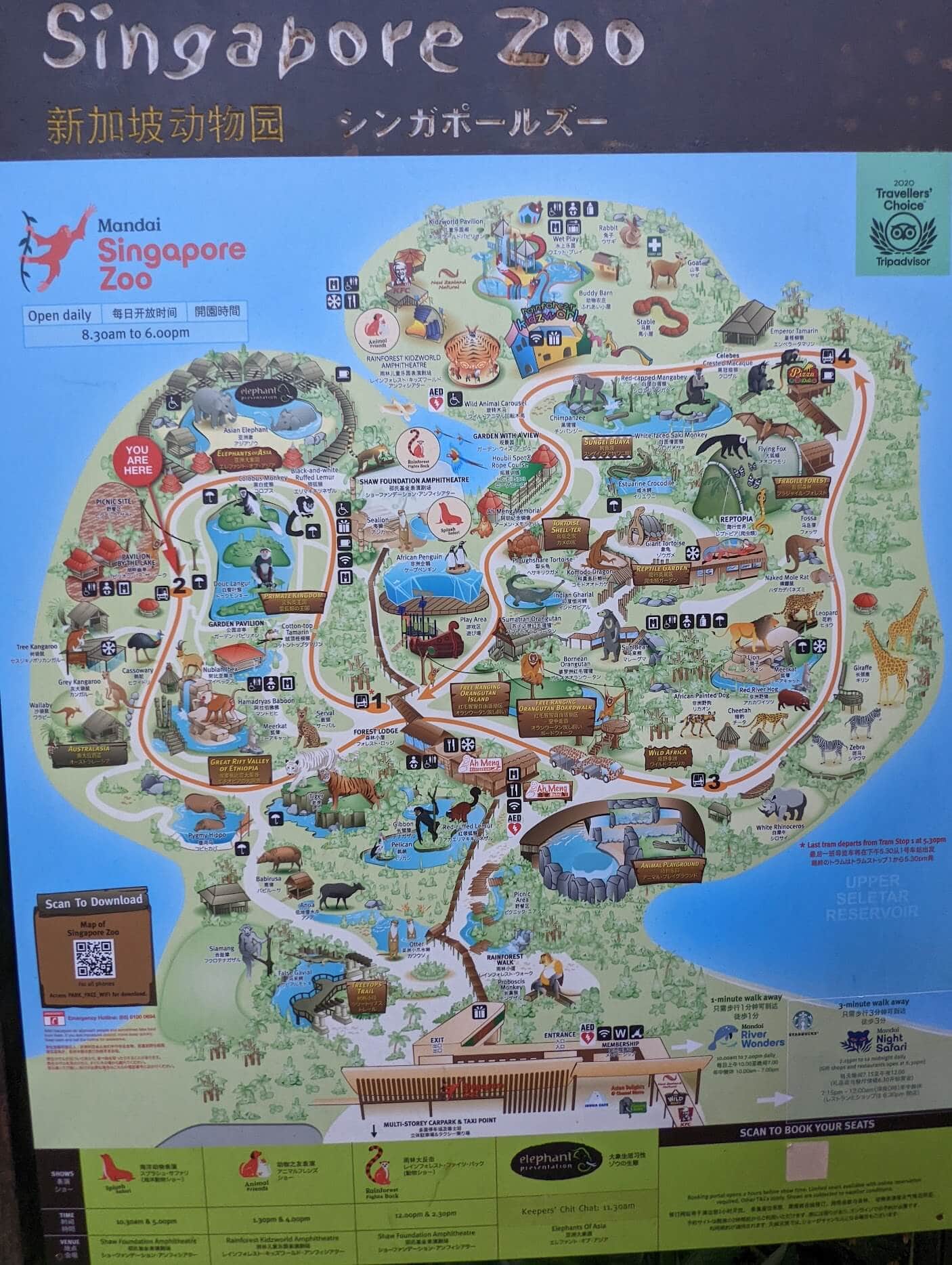 シンガポール動物園　地図